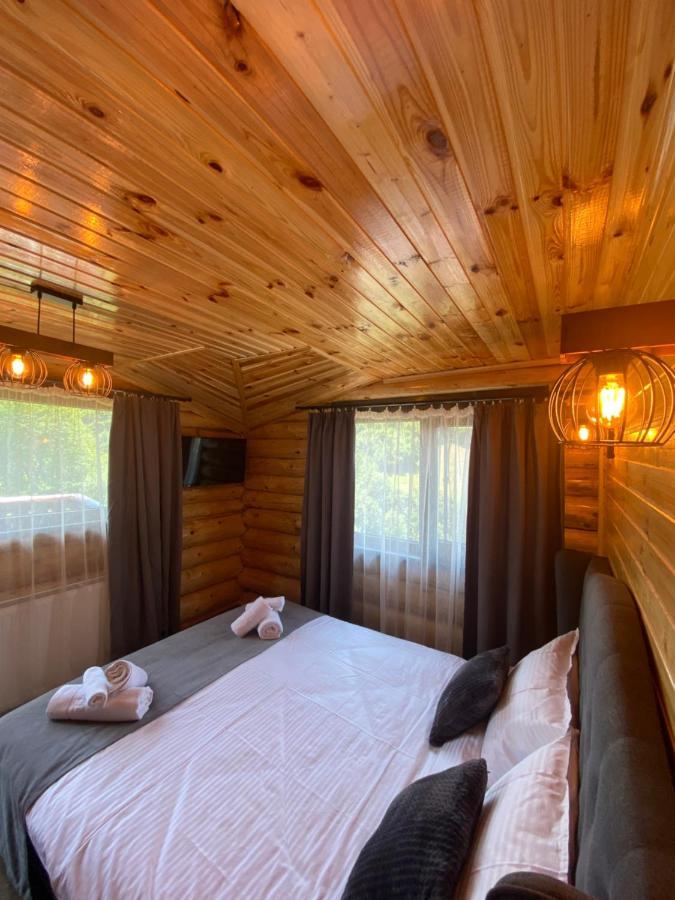 Bellevue Chalet Rîşnov Eksteriør billede