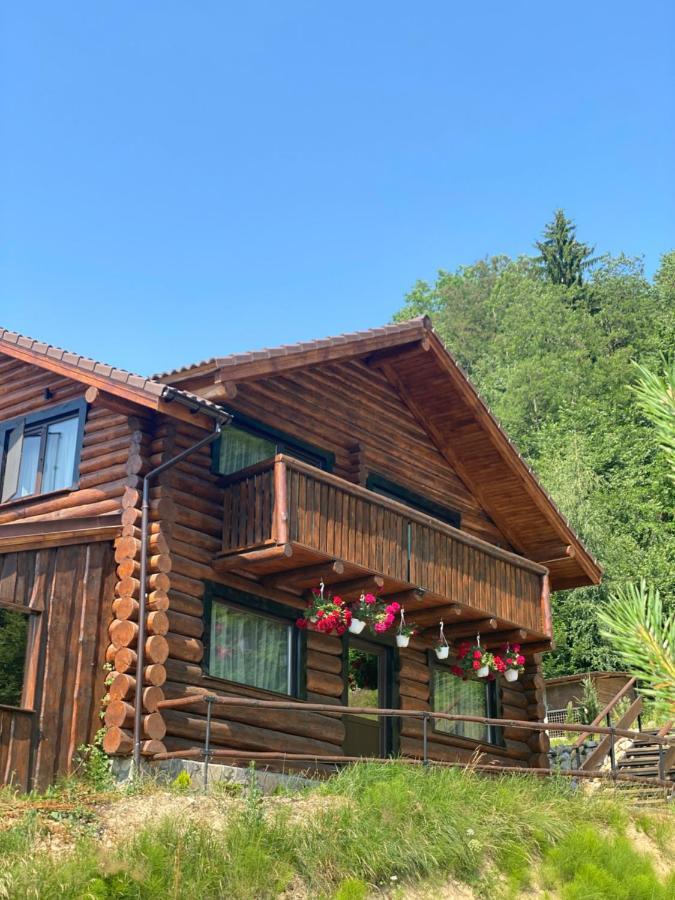Bellevue Chalet Rîşnov Eksteriør billede