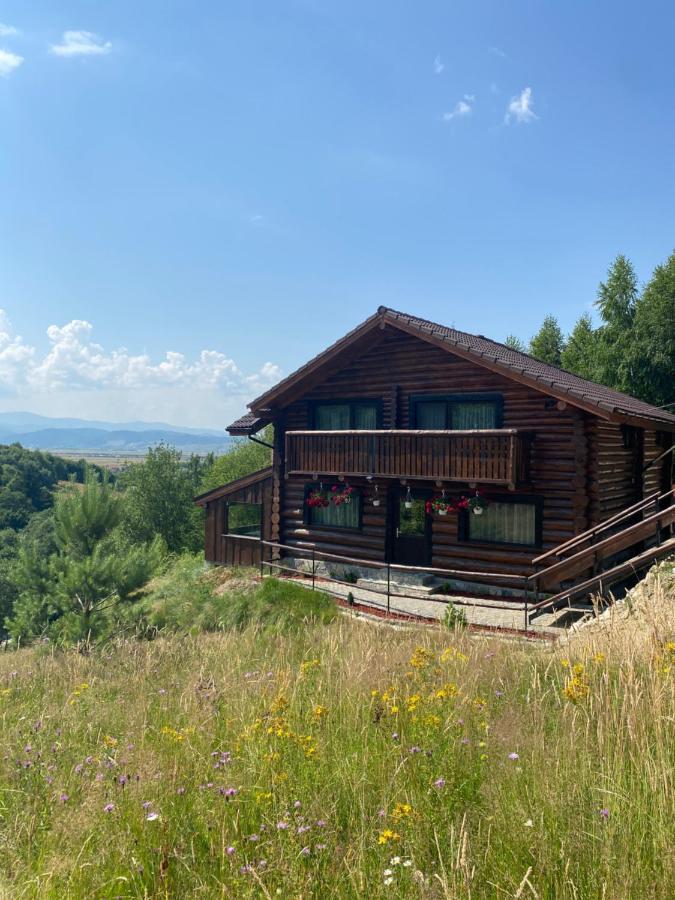 Bellevue Chalet Rîşnov Eksteriør billede