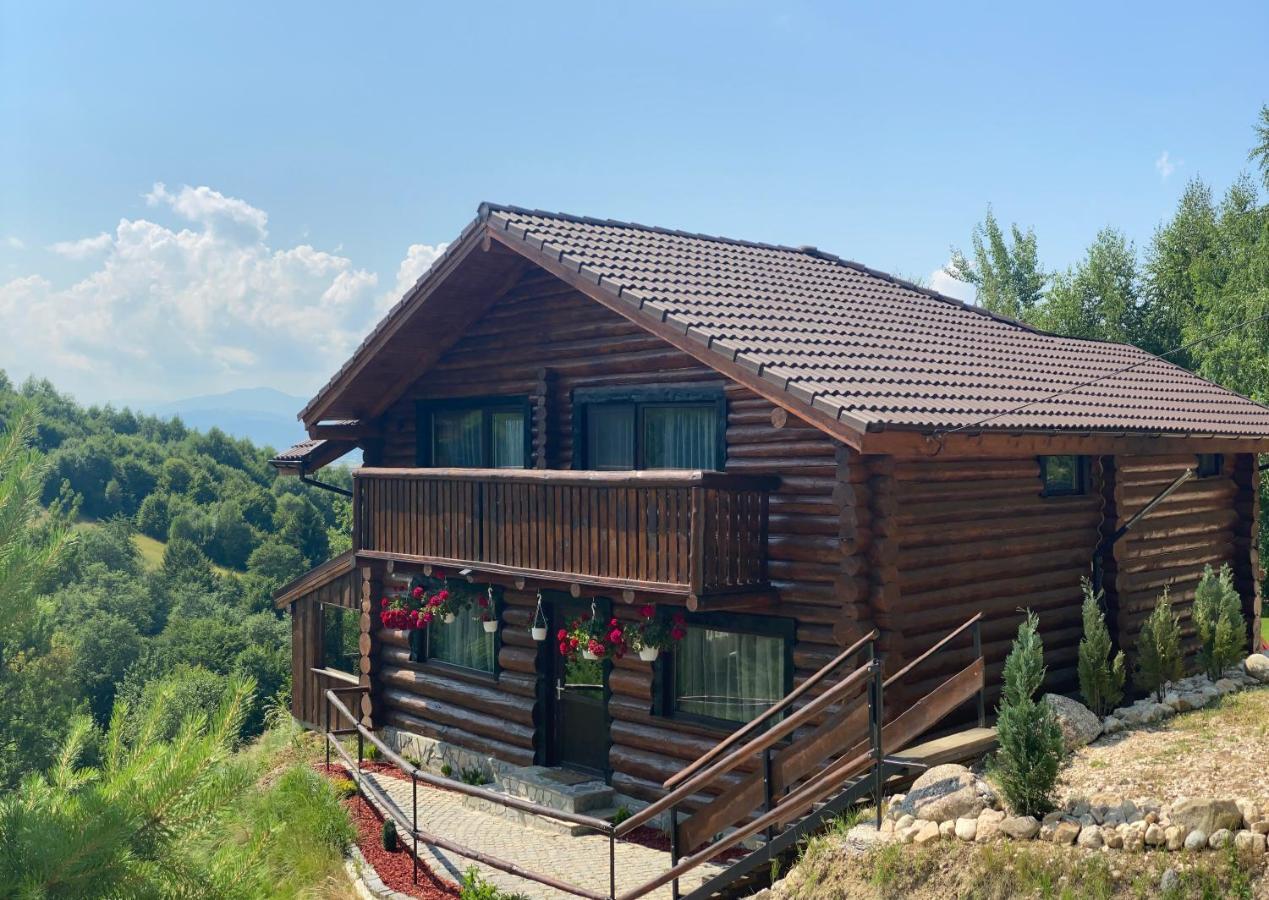 Bellevue Chalet Rîşnov Eksteriør billede