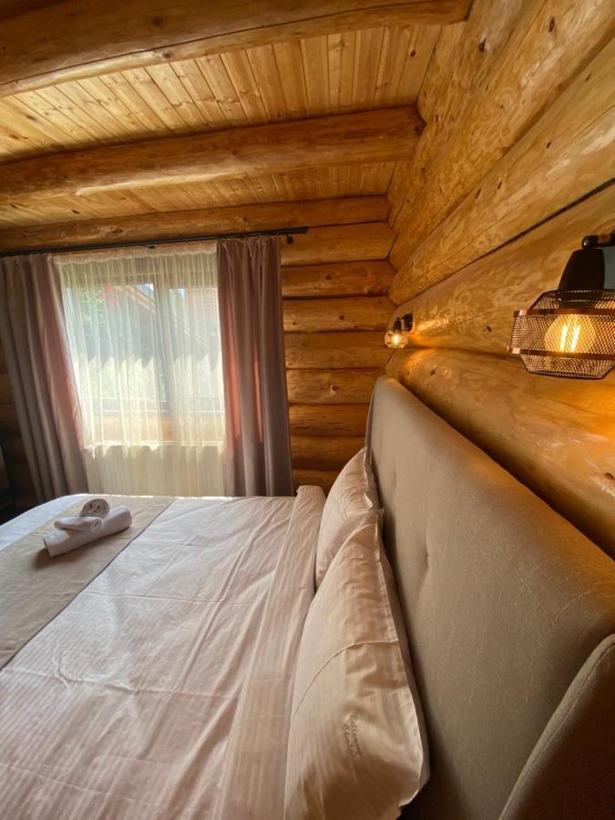 Bellevue Chalet Rîşnov Eksteriør billede